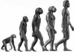 A Ejaculação Precoce de Acordo com a Teoria Evolucionista