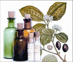 A Homeopatia no Tratamento da Ejaculação Precoce